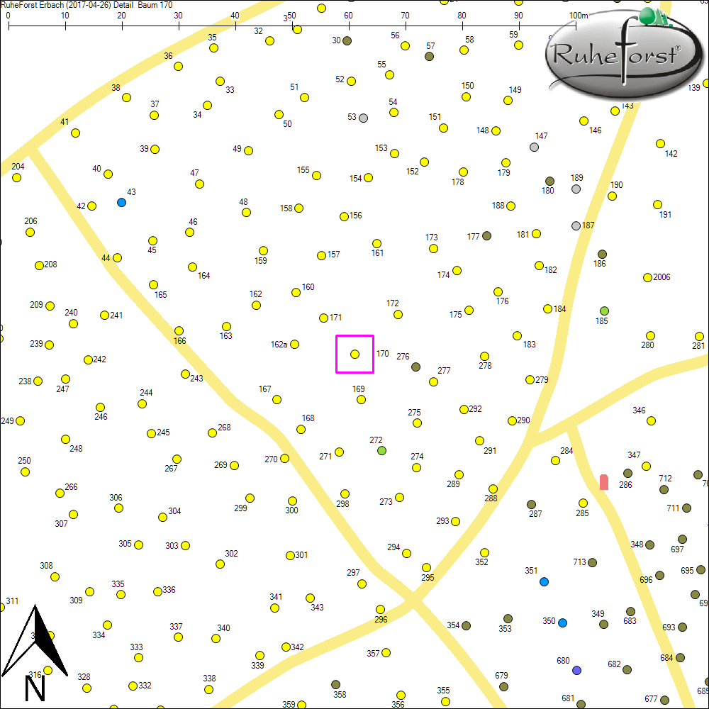 Detailkarte zu Baum 170