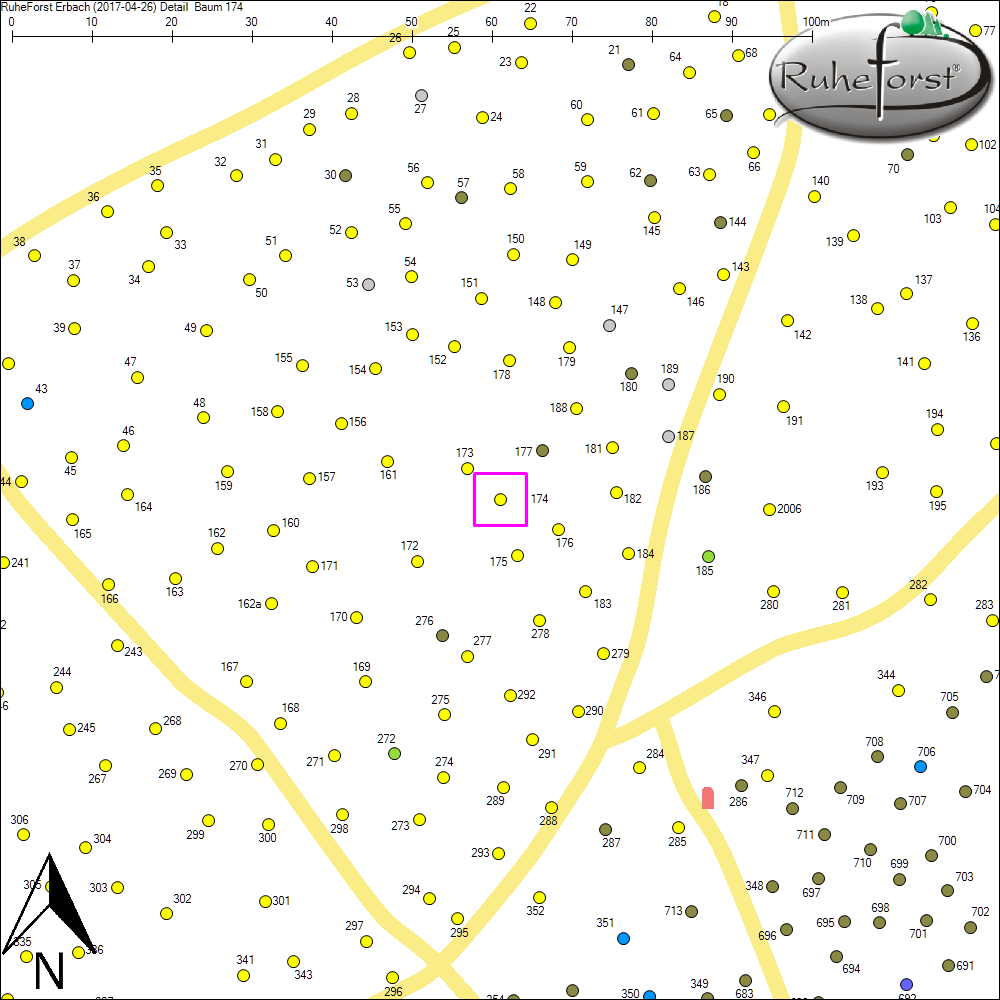 Detailkarte zu Baum 174