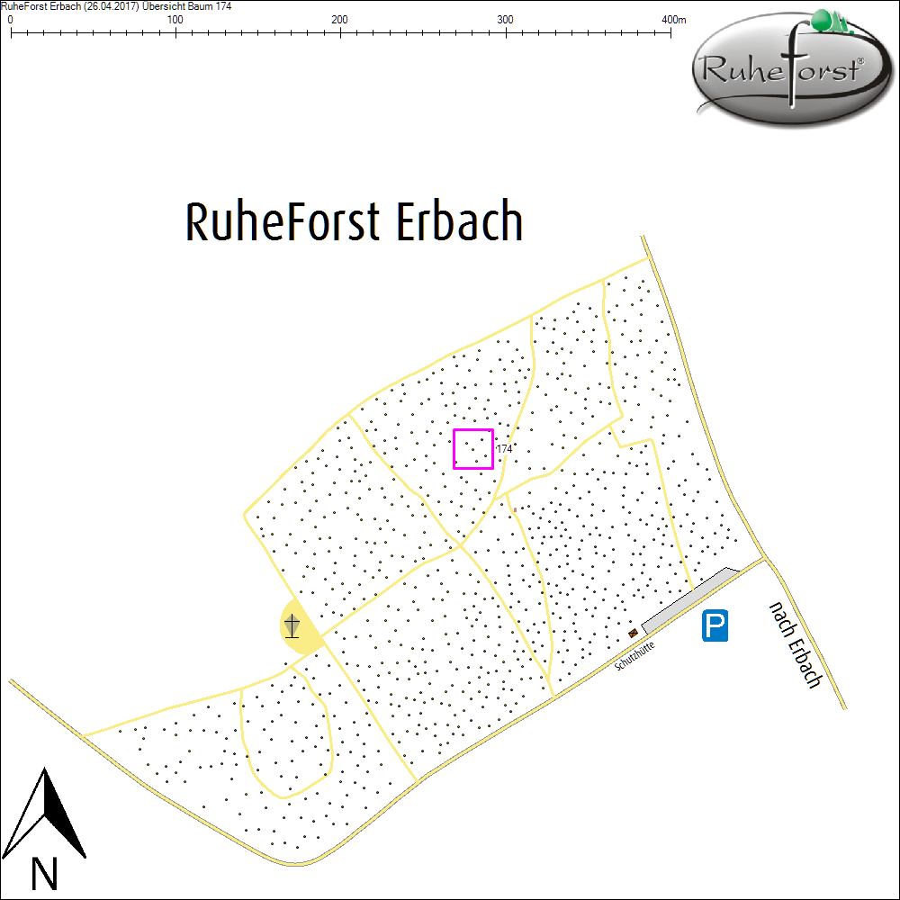 &Uuml;bersichtskarte zu Baum 174