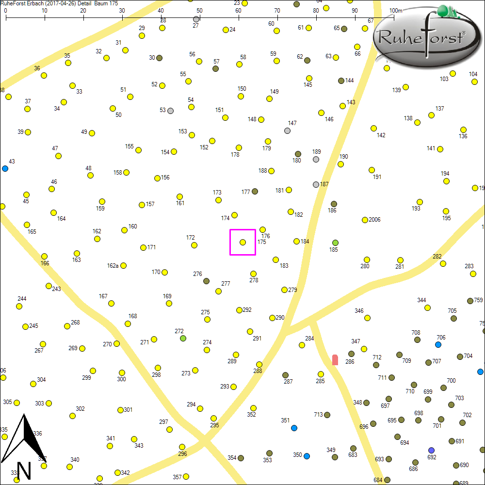 Detailkarte zu Baum 175