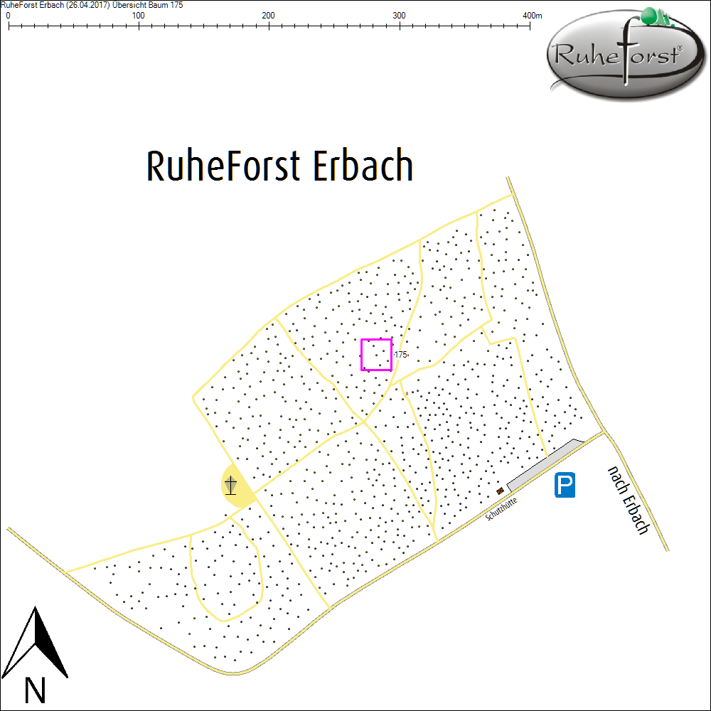 &Uuml;bersichtskarte zu Baum 175
