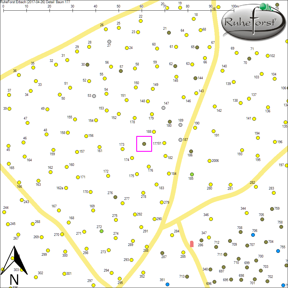 Detailkarte zu Baum 177