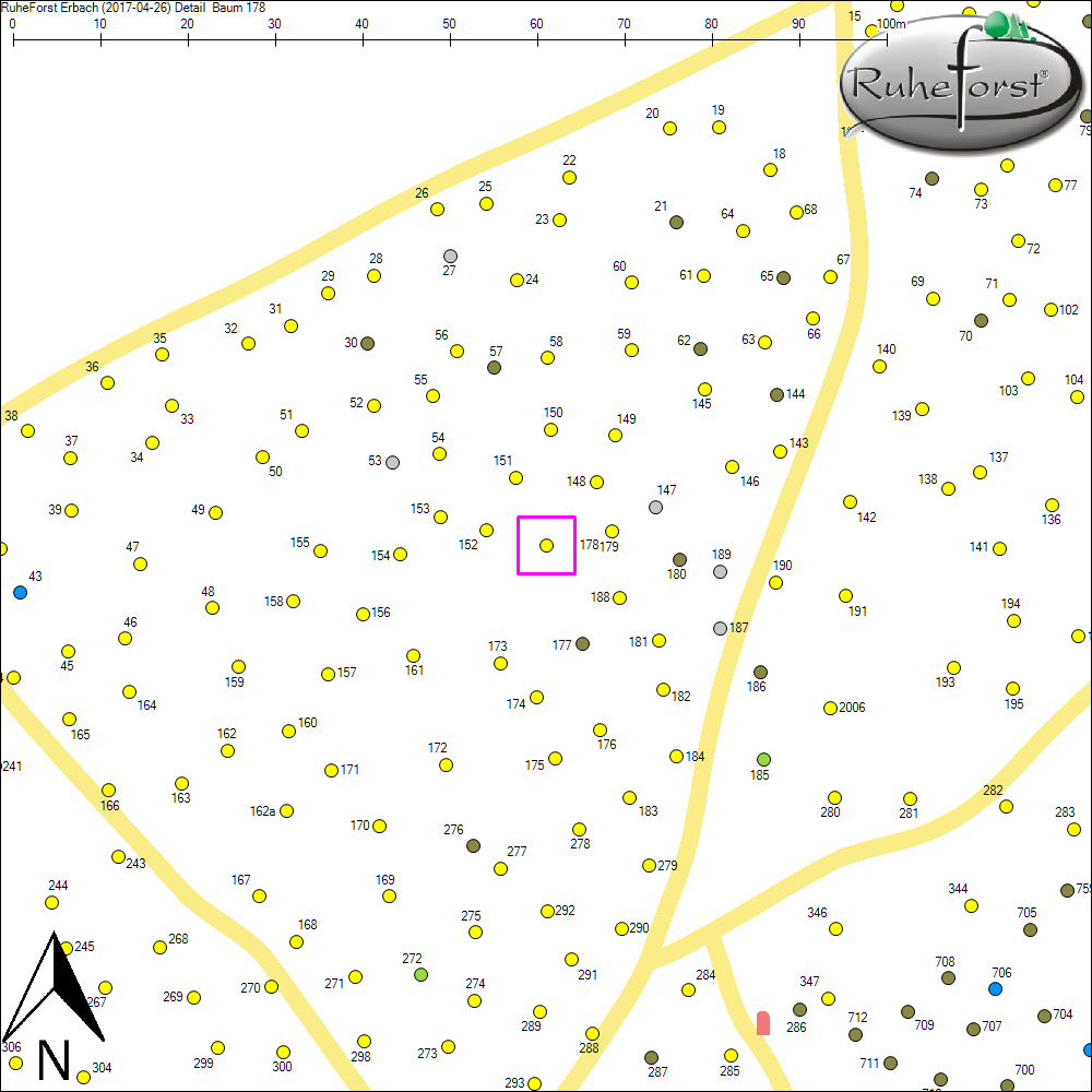 Detailkarte zu Baum 178