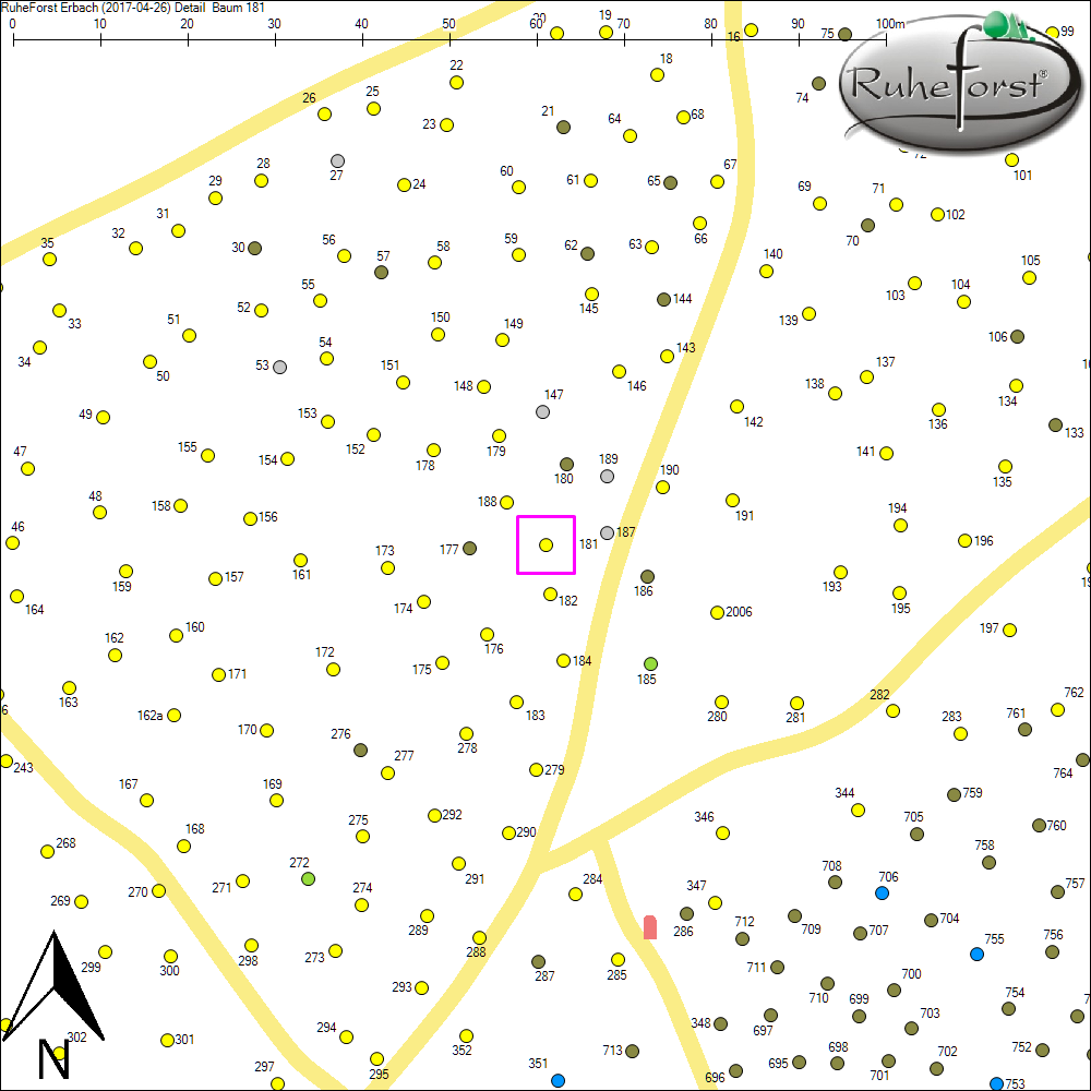 Detailkarte zu Baum 181