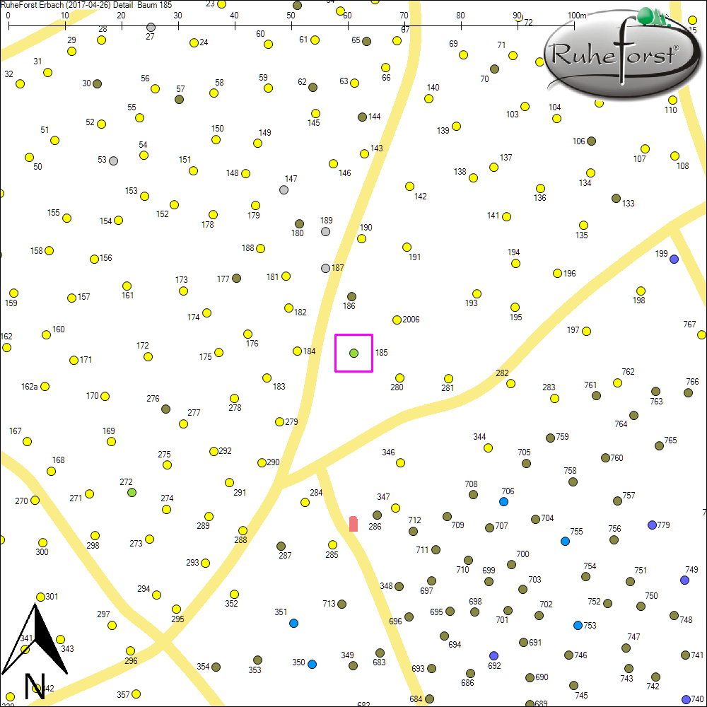Detailkarte zu Baum 185