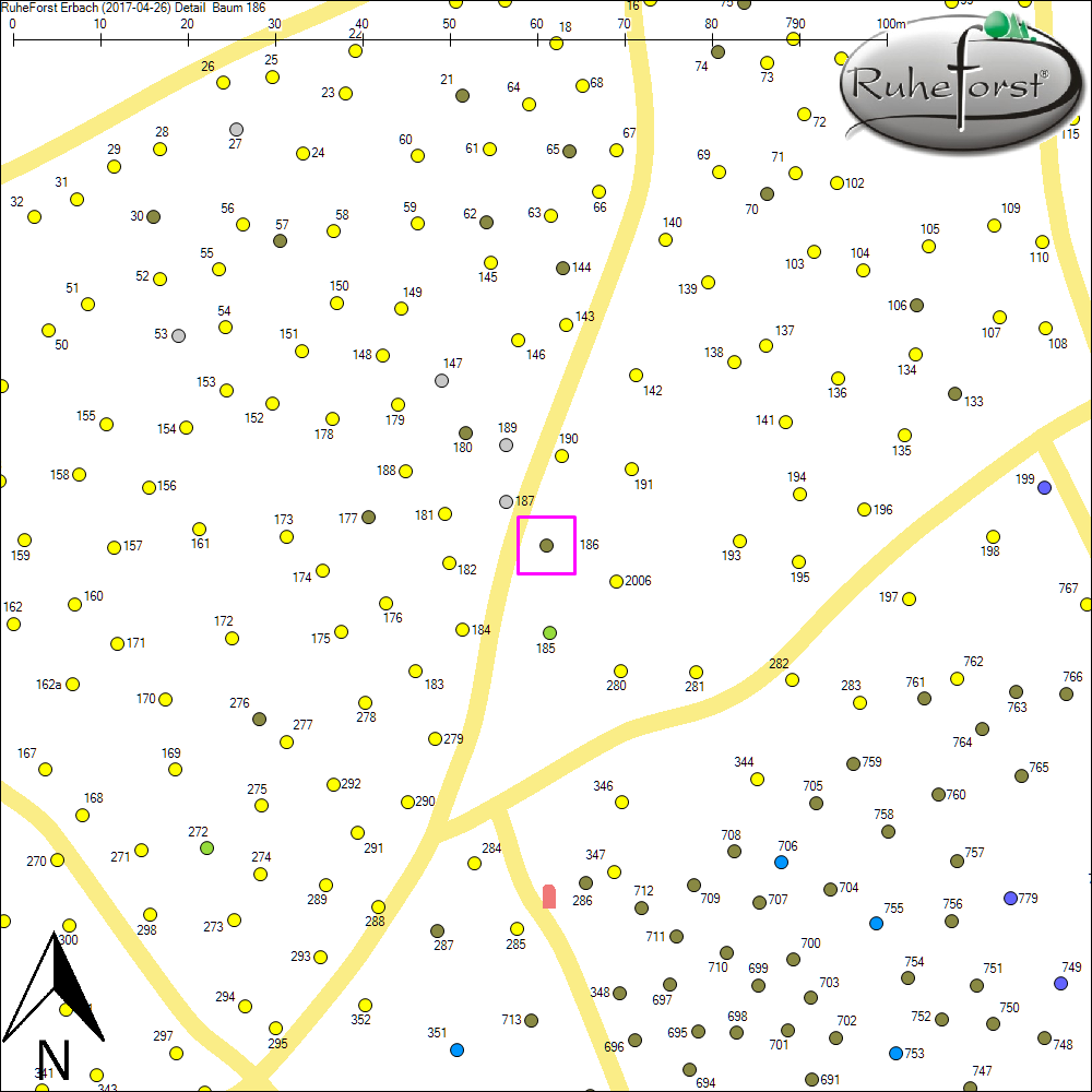 Detailkarte zu Baum 186
