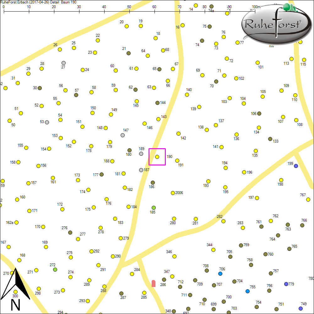Detailkarte zu Baum 190