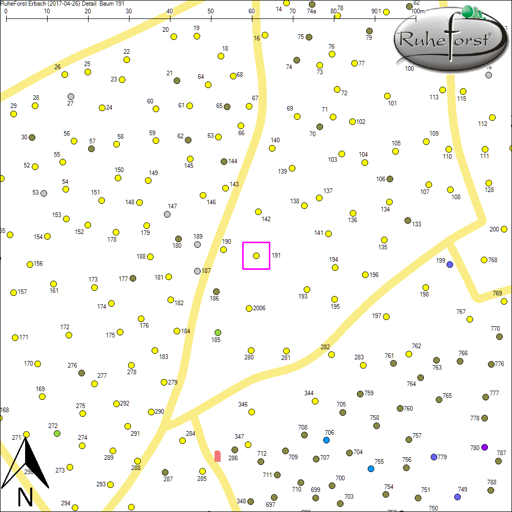 Detailkarte zu Baum 191