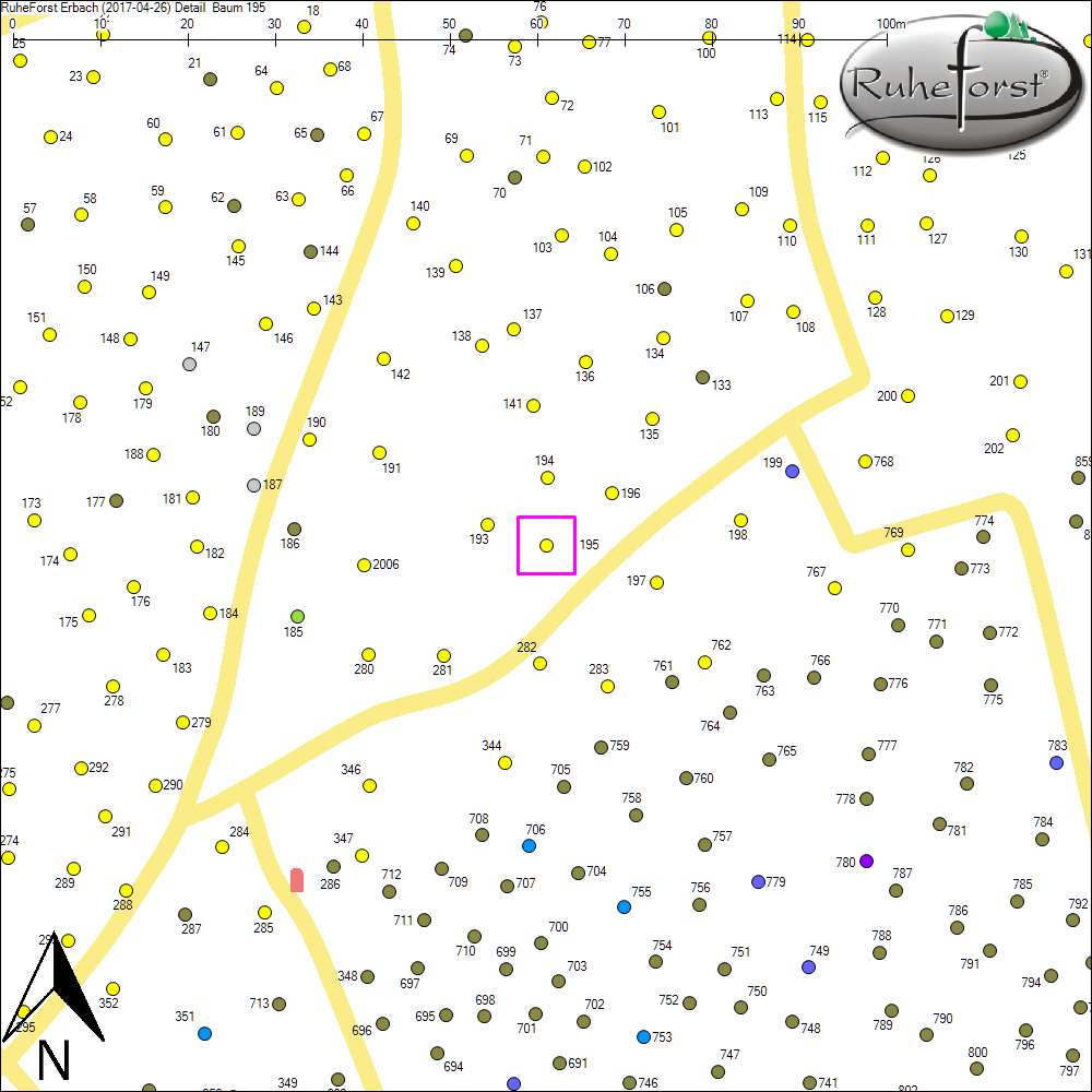 Detailkarte zu Baum 195