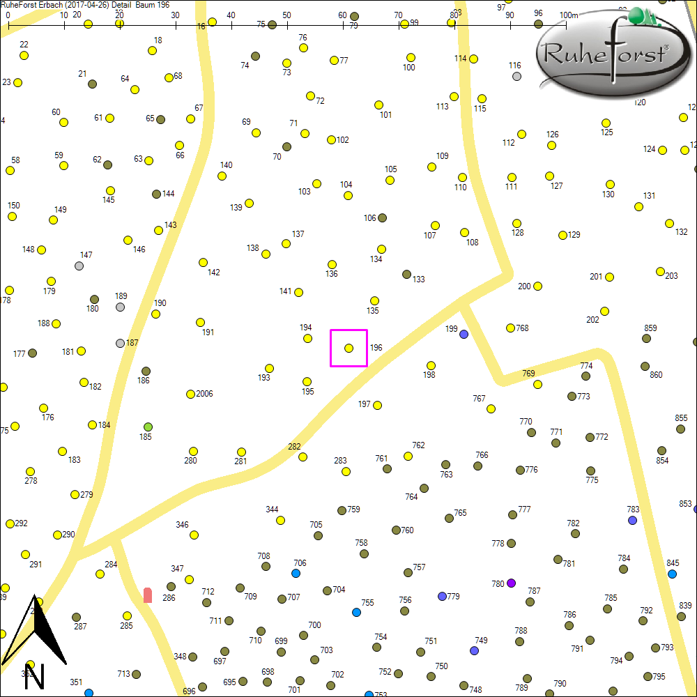 Detailkarte zu Baum 196