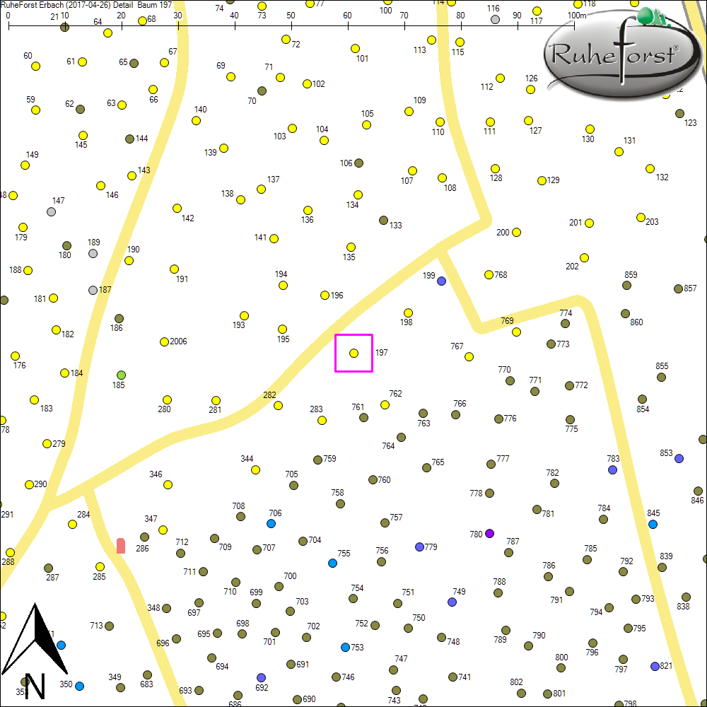Detailkarte zu Baum 197