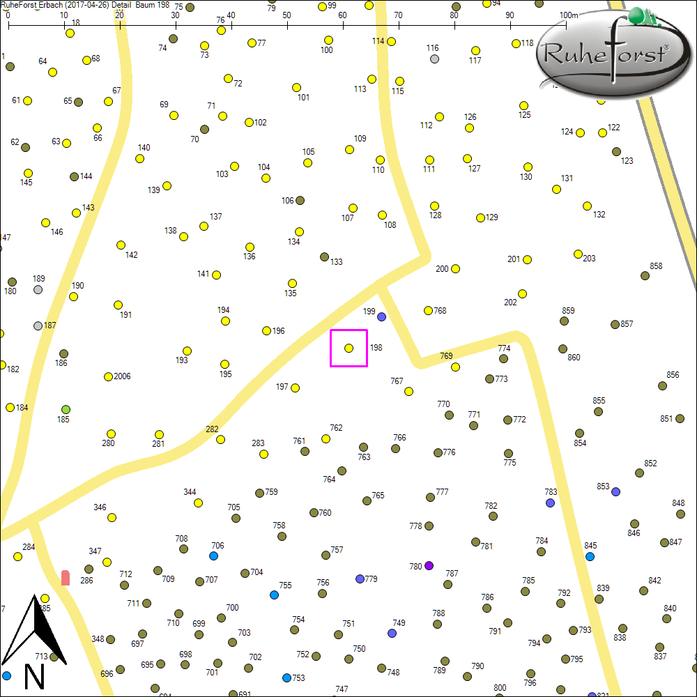 Detailkarte zu Baum 198