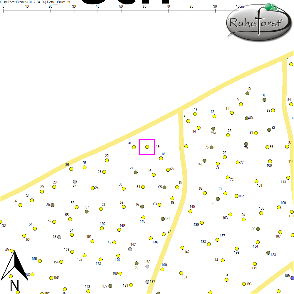Detailkarte zu Baum 19