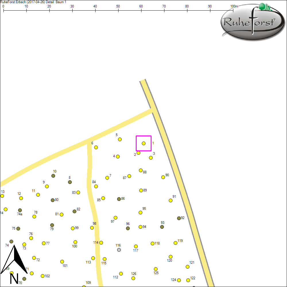 Detailkarte zu Baum 1