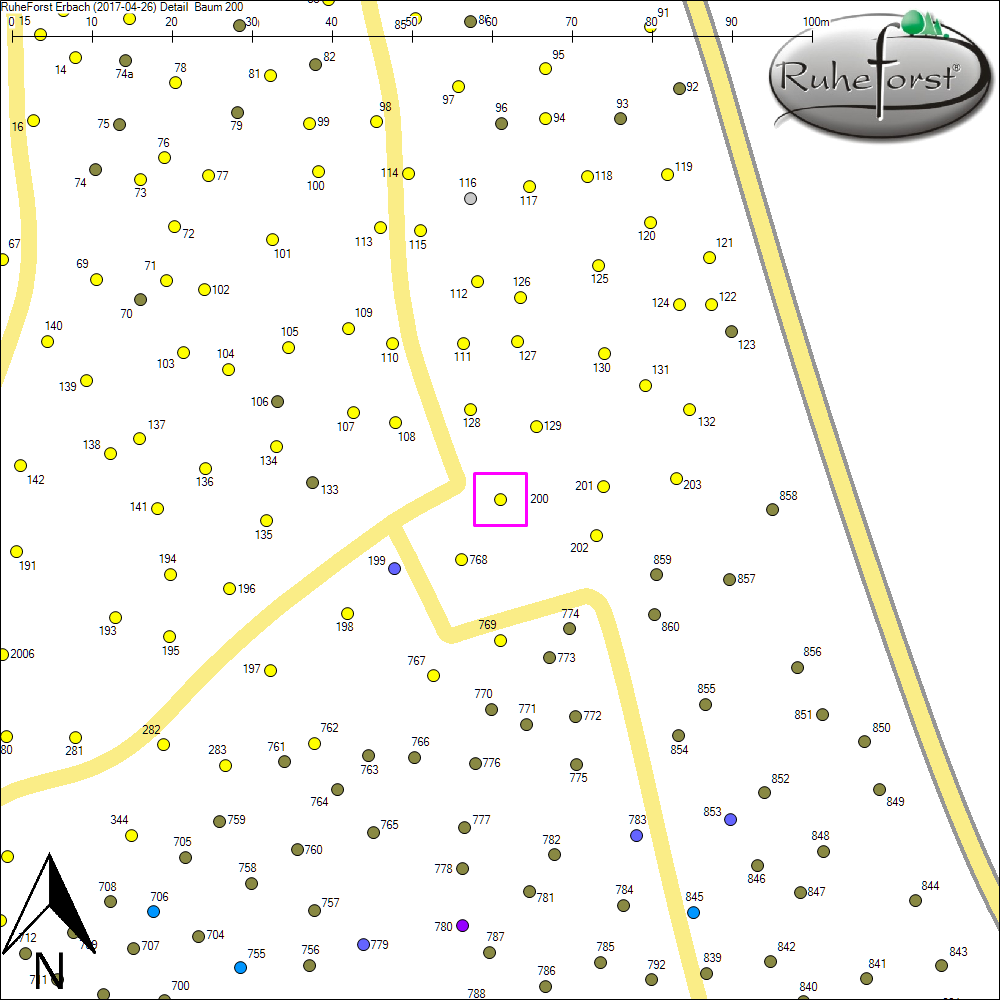 Detailkarte zu Baum 200