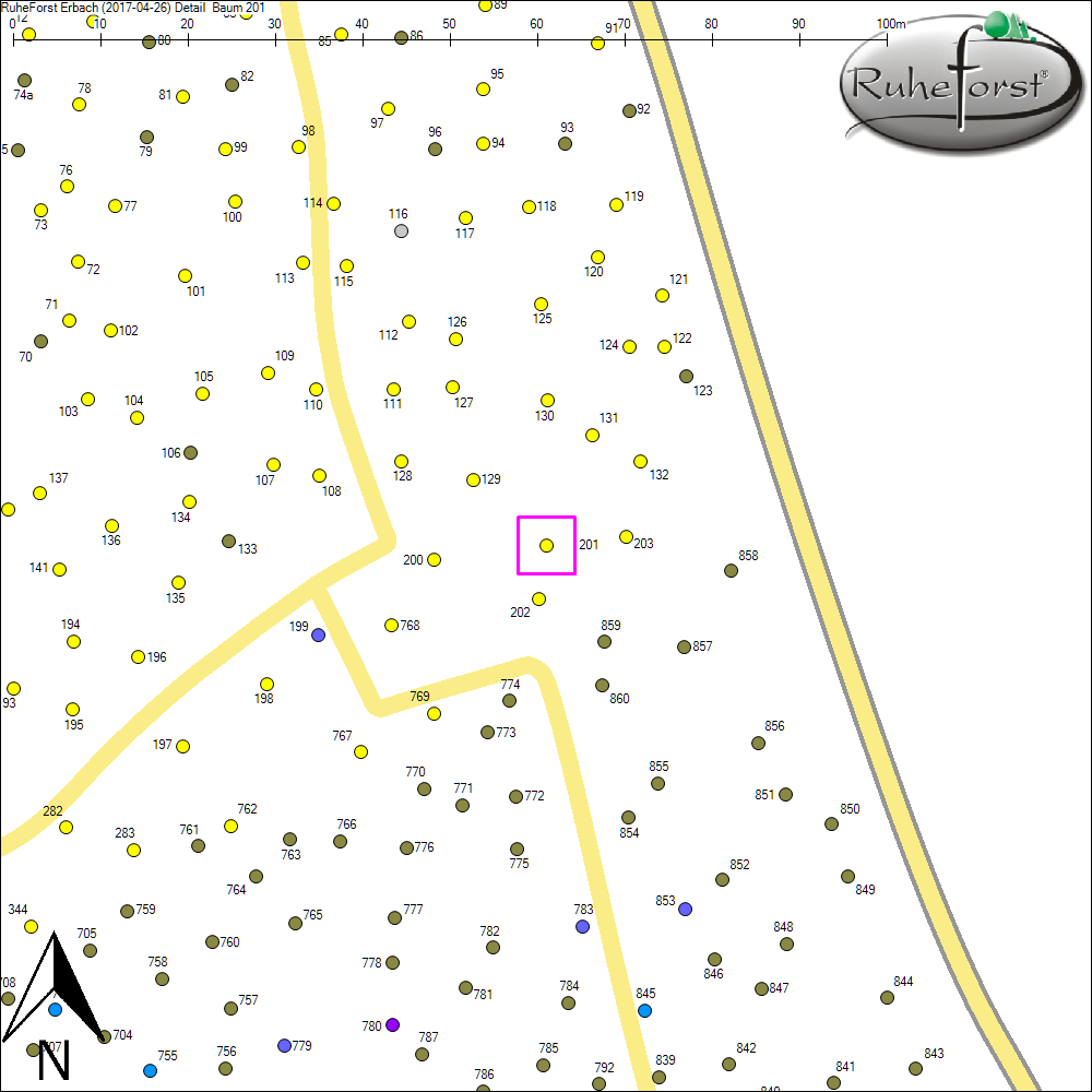 Detailkarte zu Baum 201