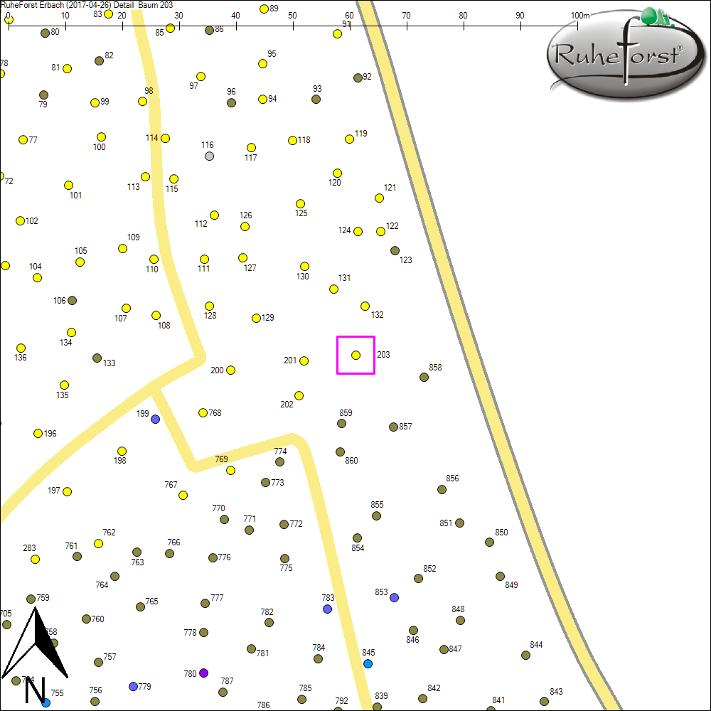 Detailkarte zu Baum 203
