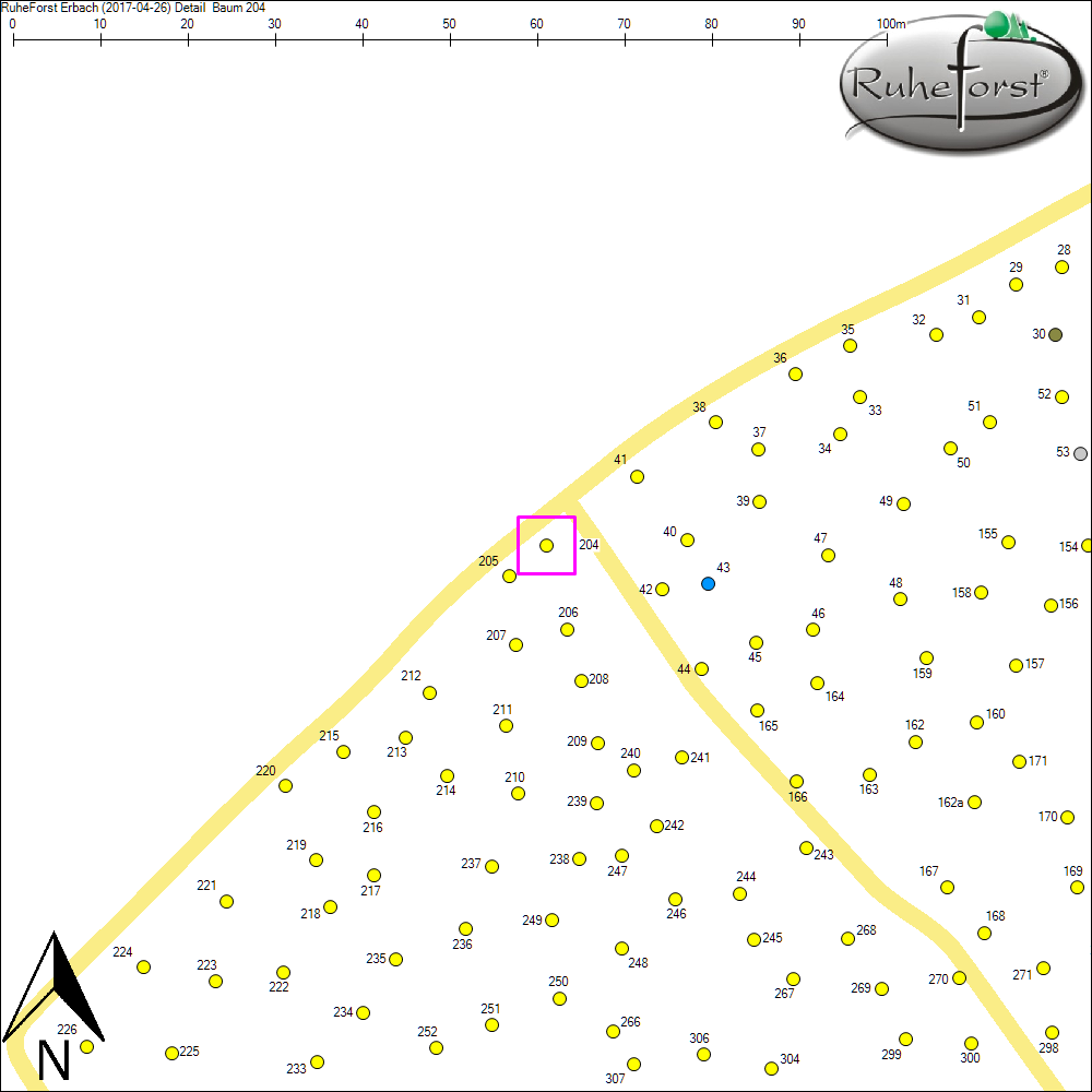 Detailkarte zu Baum 204