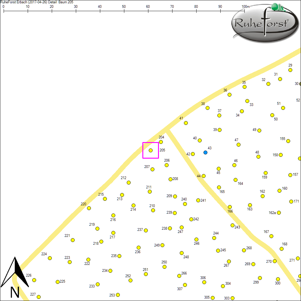 Detailkarte zu Baum 205