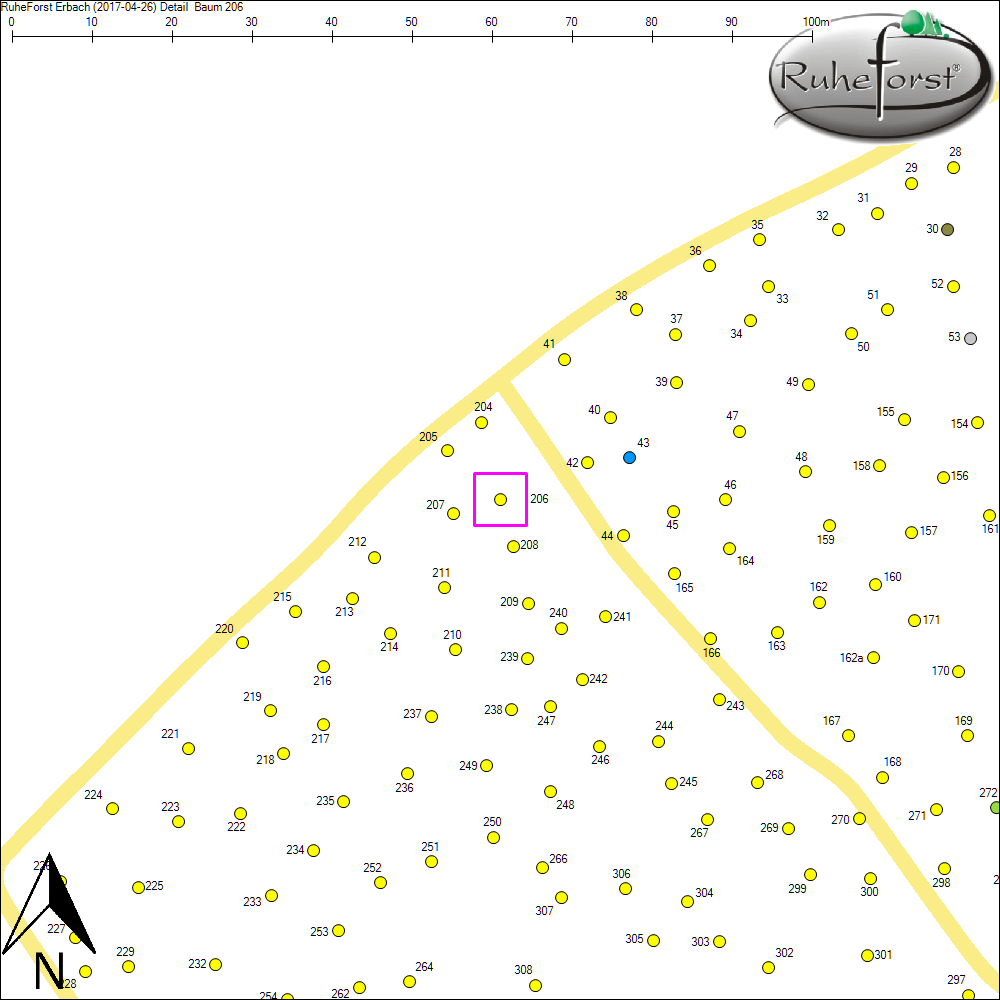 Detailkarte zu Baum 206