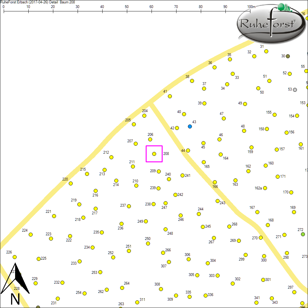 Detailkarte zu Baum 208