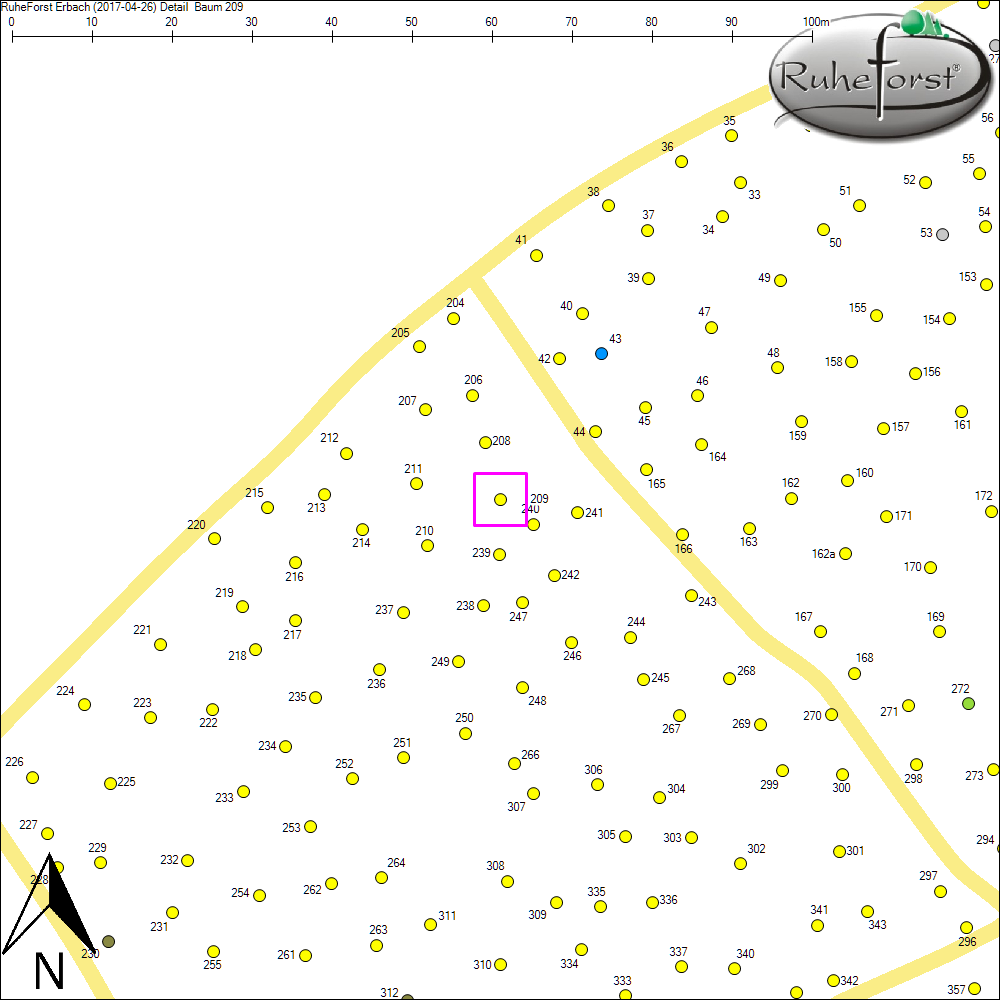 Detailkarte zu Baum 209