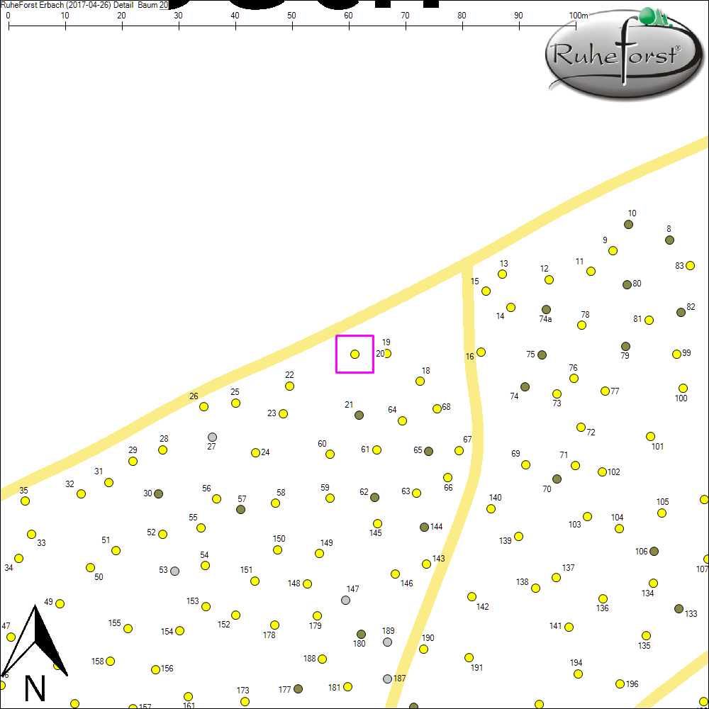 Detailkarte zu Baum 20