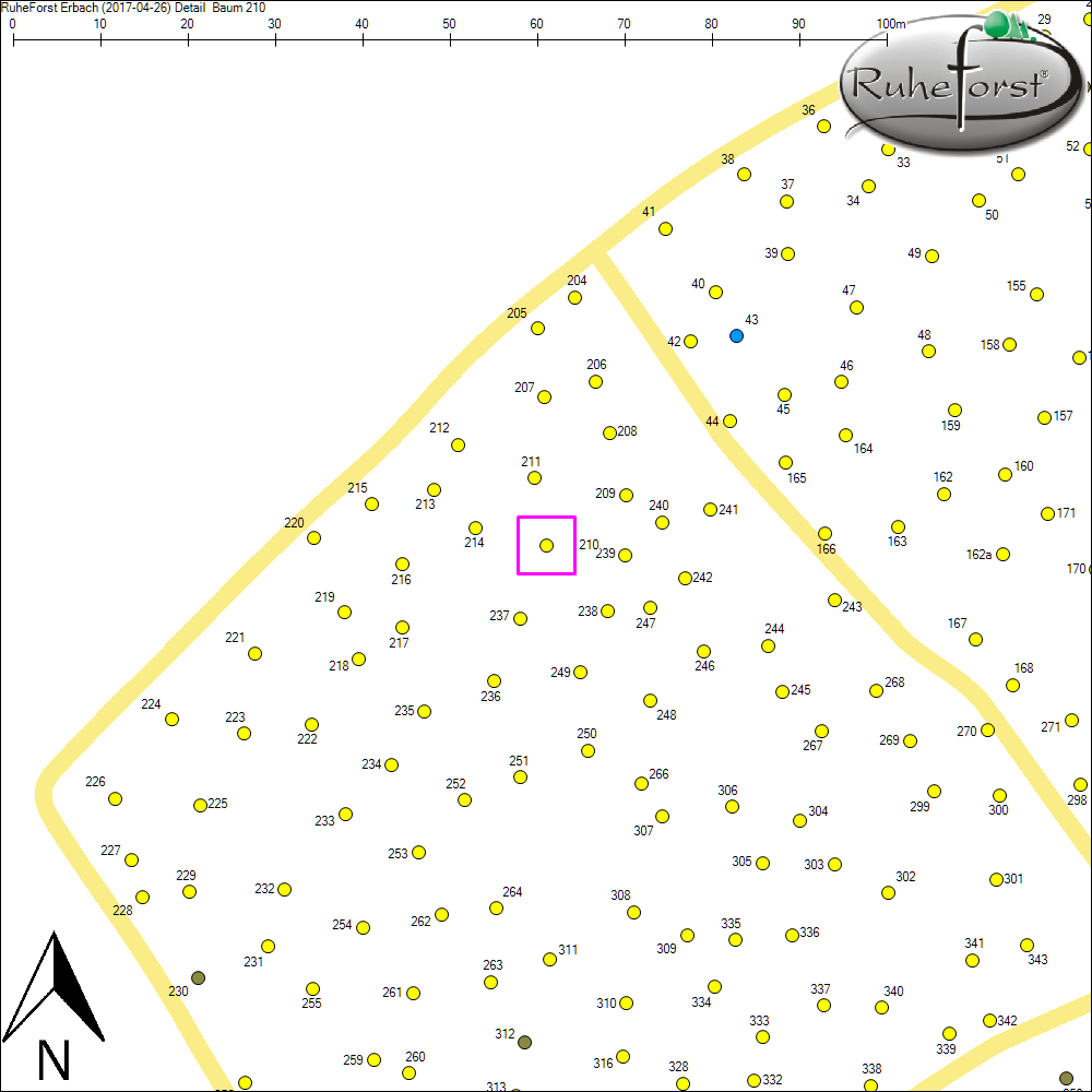 Detailkarte zu Baum 210