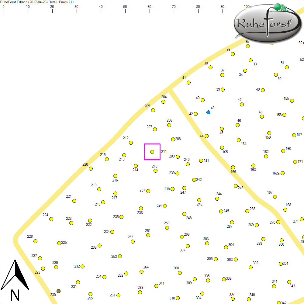 Detailkarte zu Baum 211