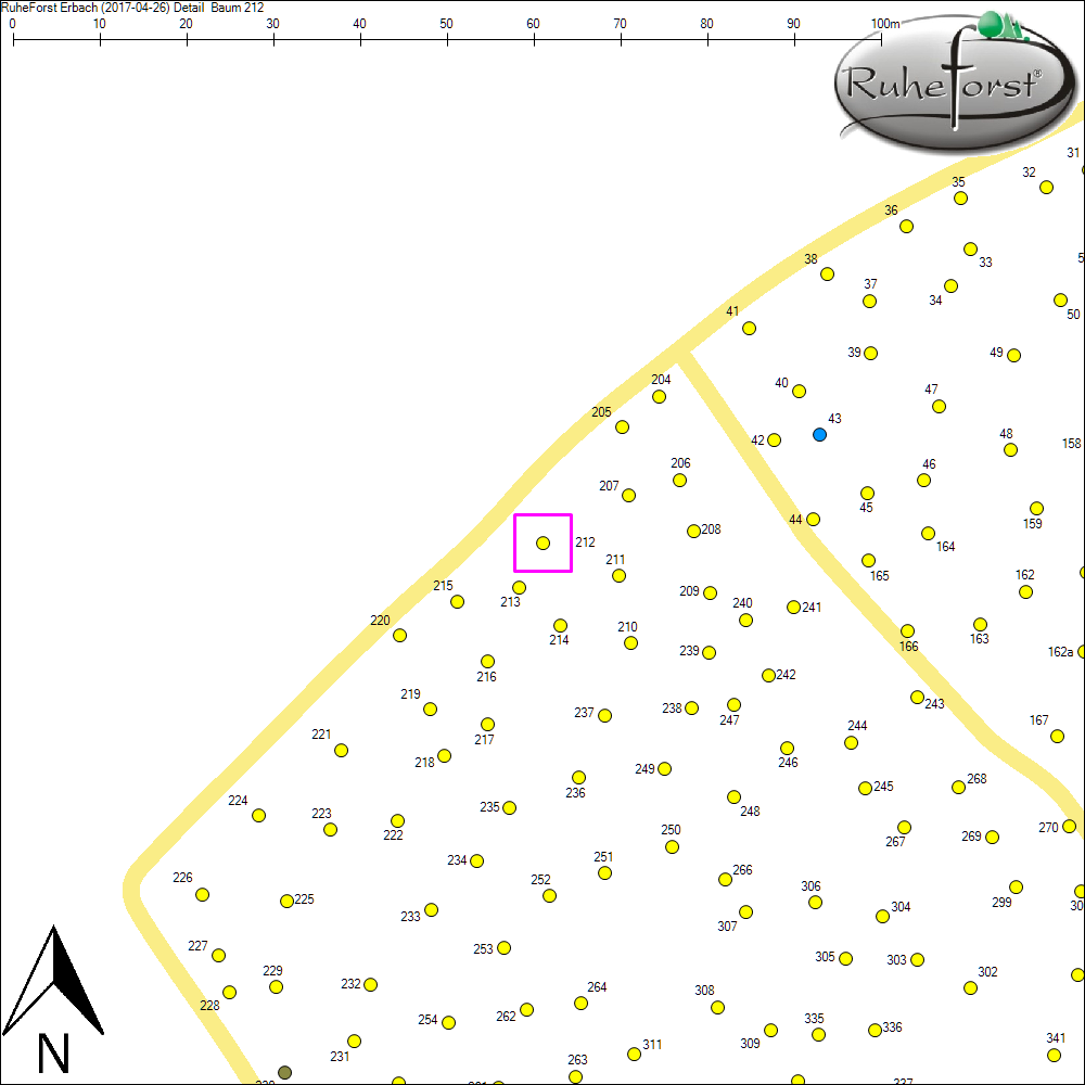 Detailkarte zu Baum 212