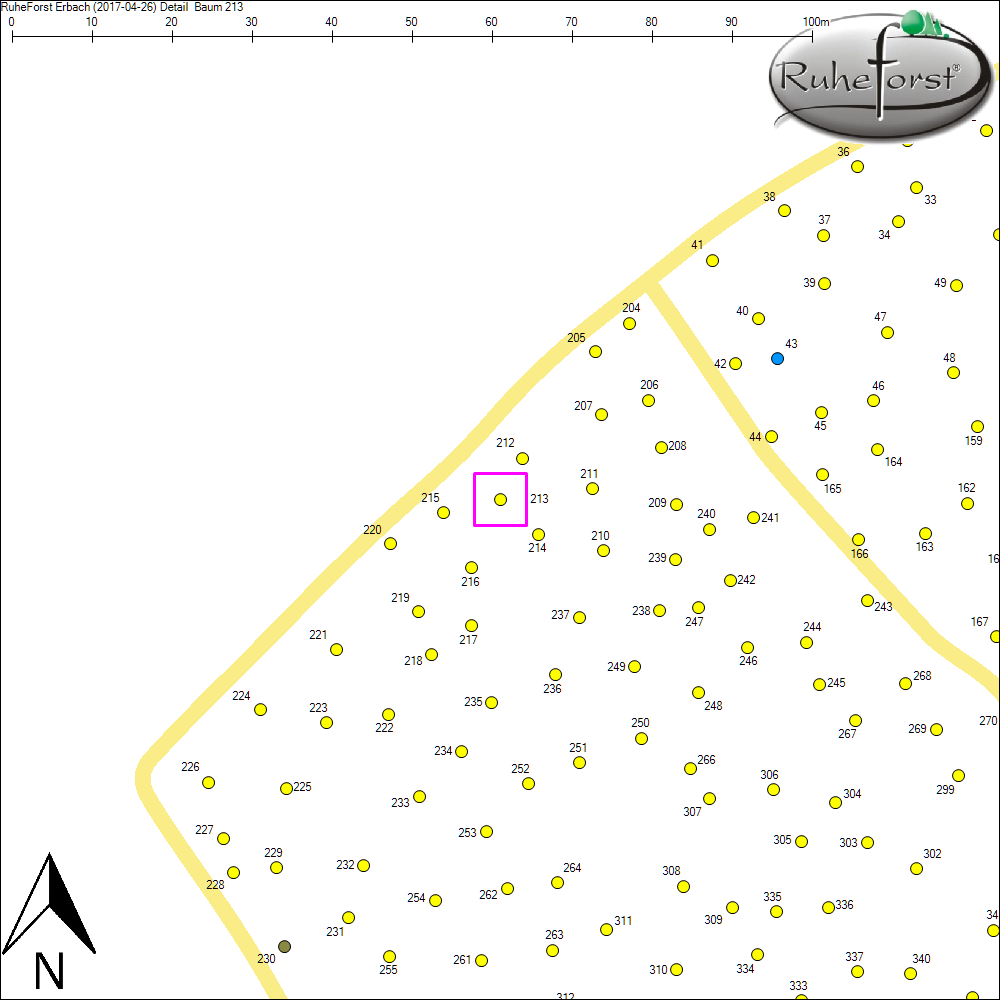Detailkarte zu Baum 213