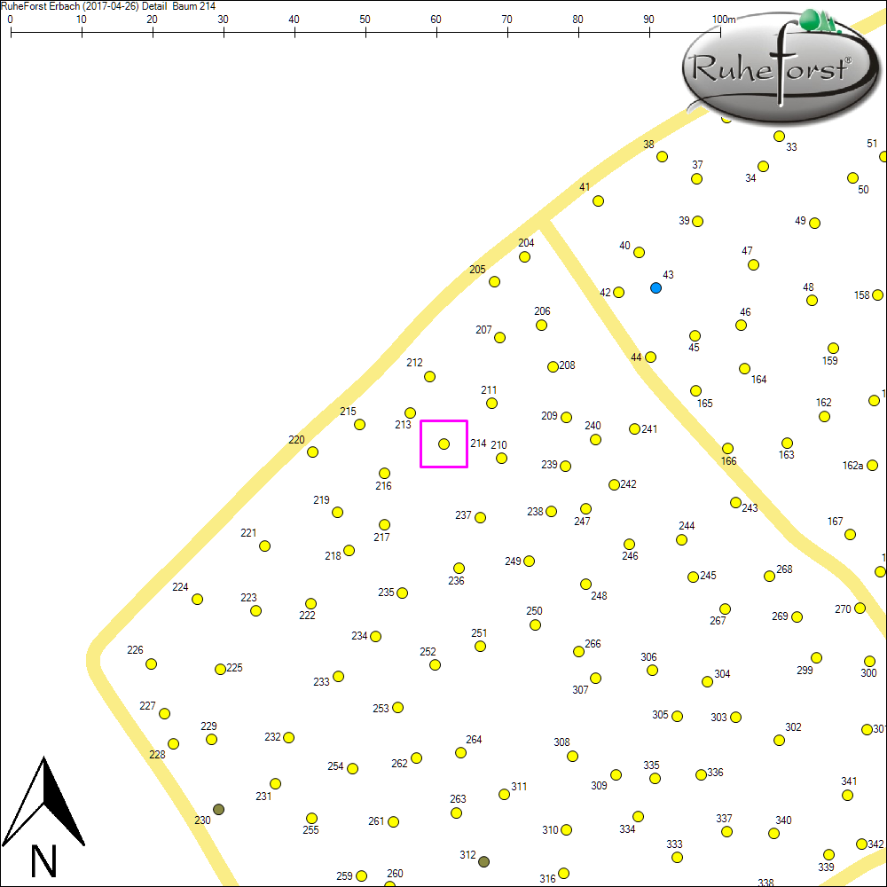 Detailkarte zu Baum 214