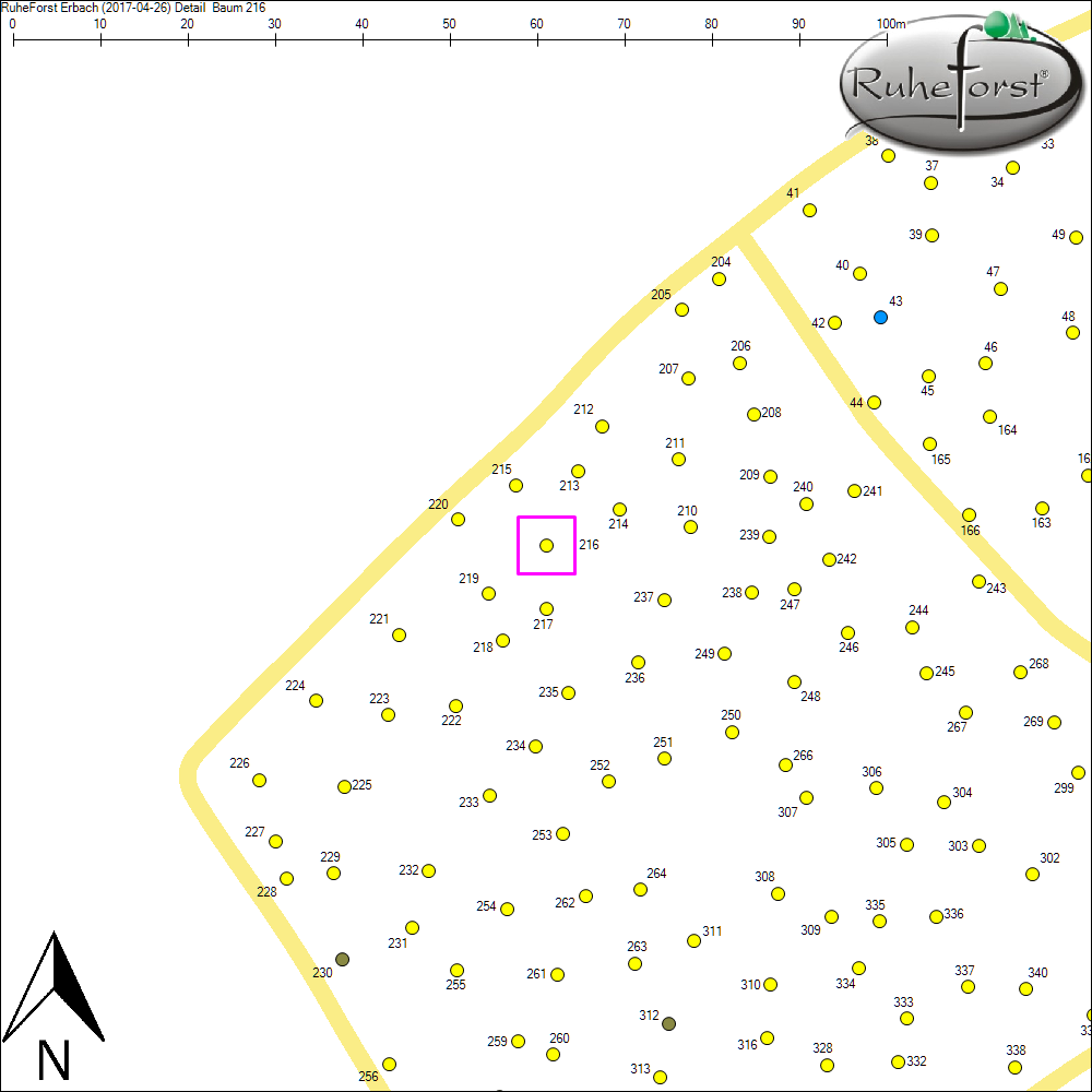 Detailkarte zu Baum 216