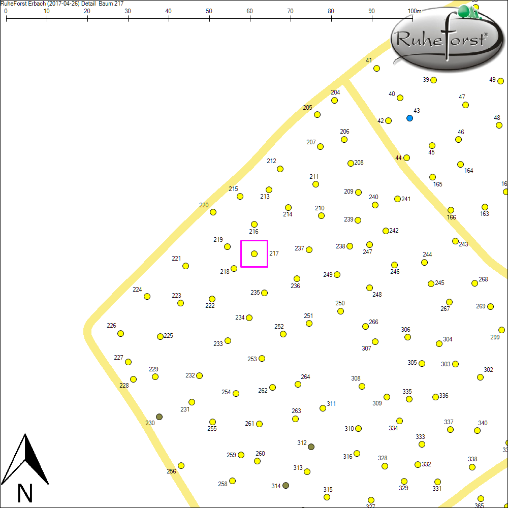 Detailkarte zu Baum 217