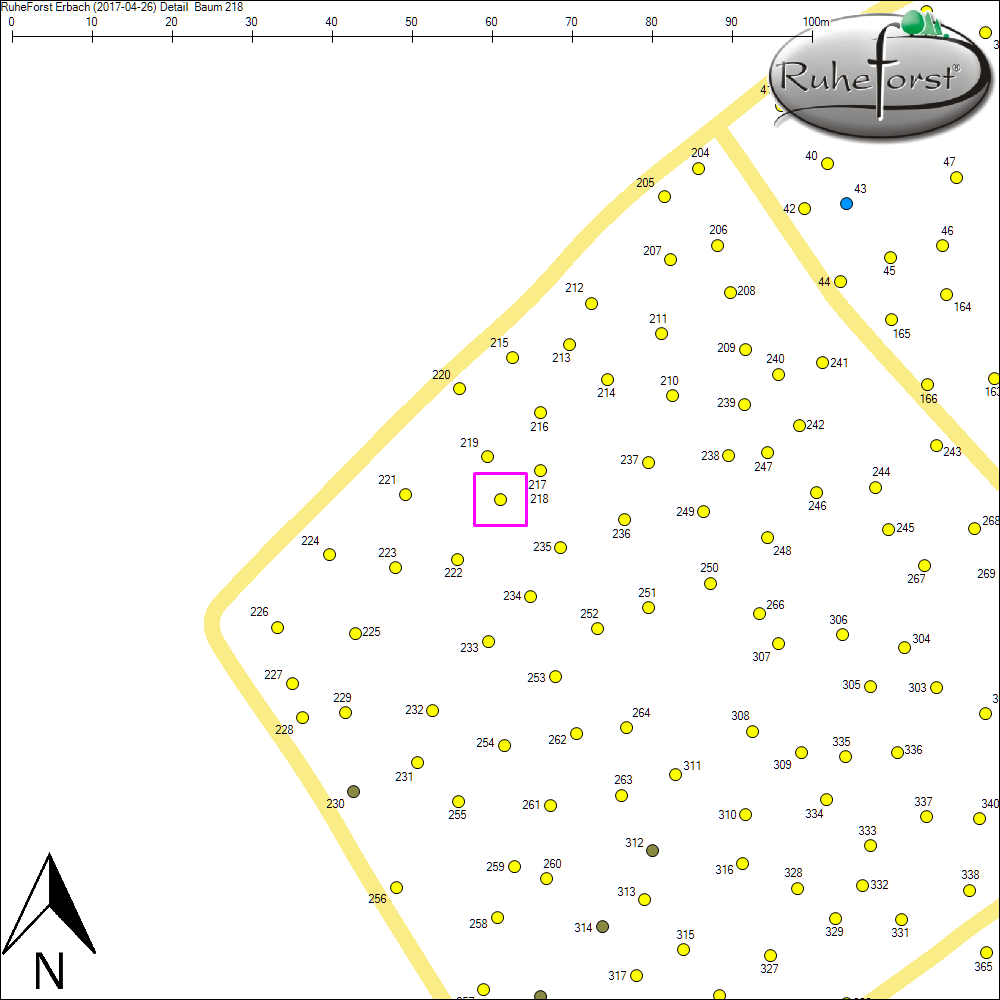 Detailkarte zu Baum 218
