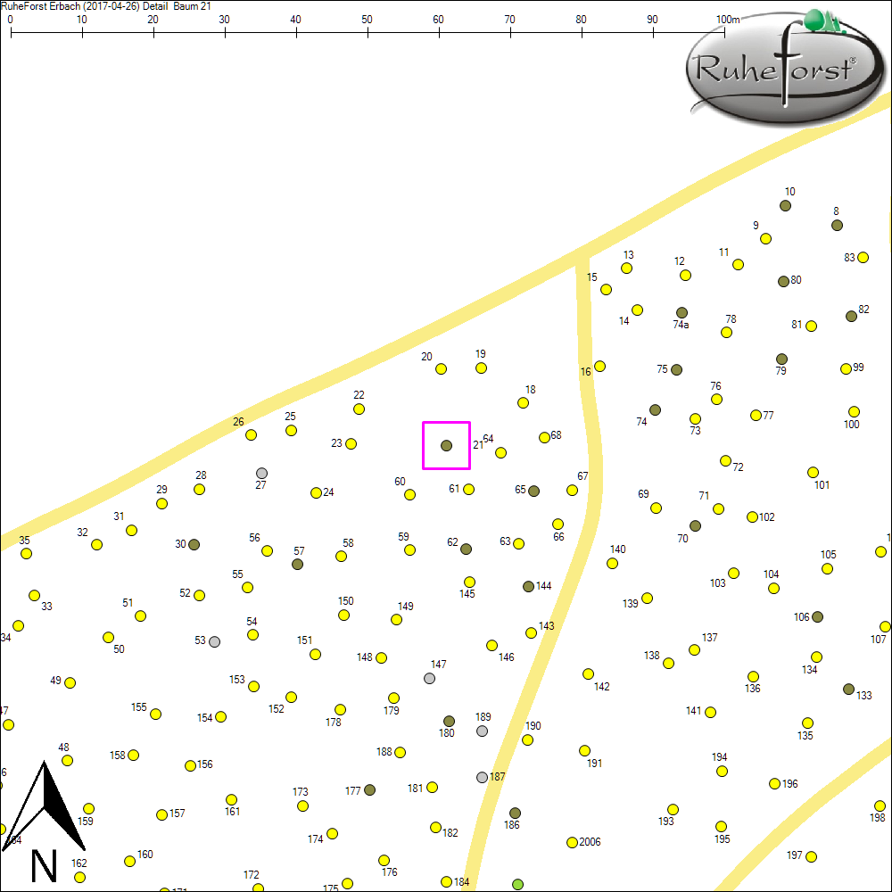 Detailkarte zu Baum 21