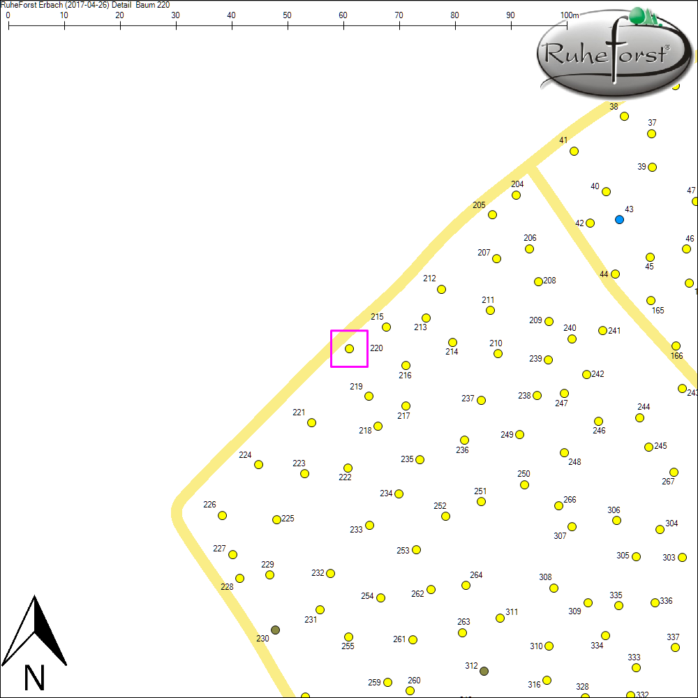Detailkarte zu Baum 220