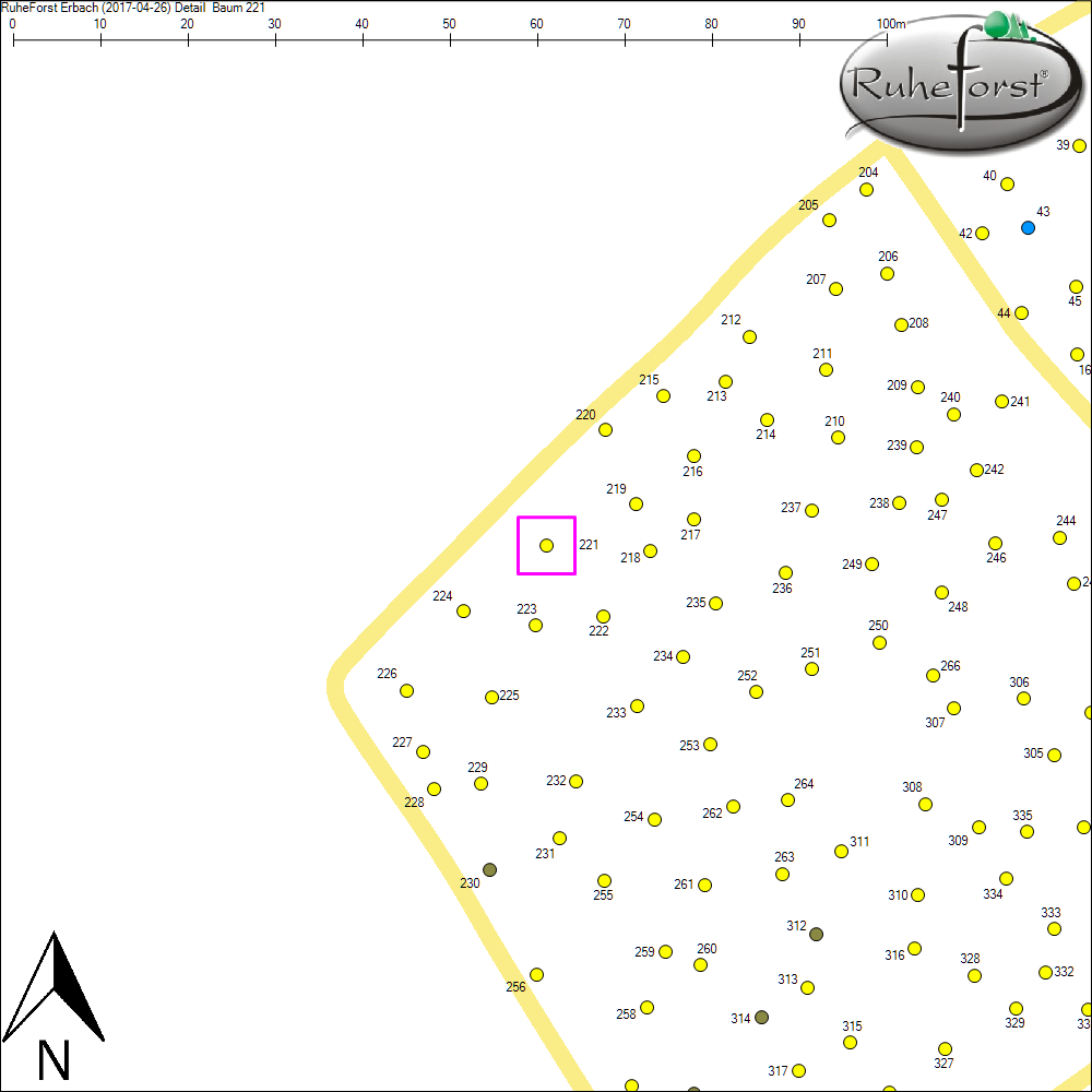 Detailkarte zu Baum 221
