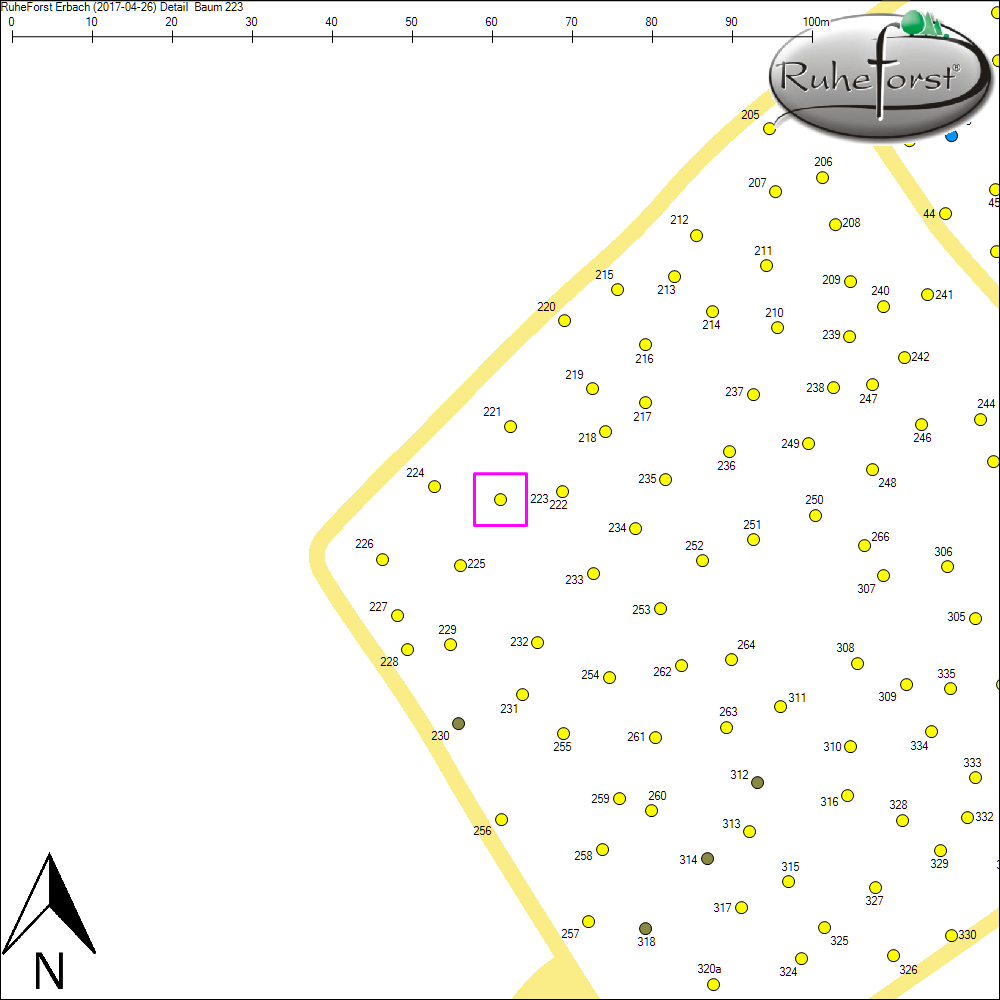 Detailkarte zu Baum 223