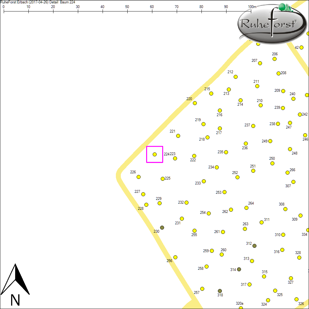 Detailkarte zu Baum 224