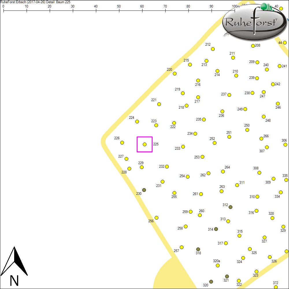 Detailkarte zu Baum 225