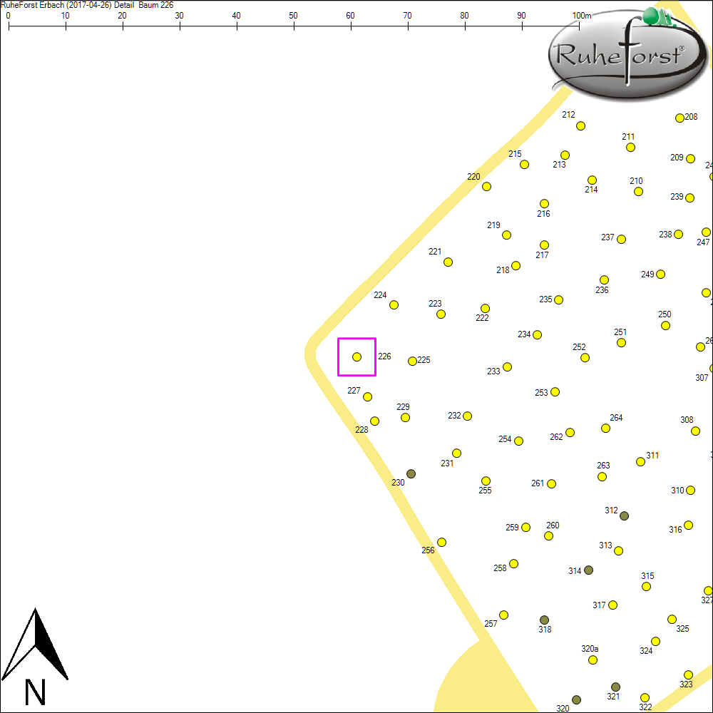 Detailkarte zu Baum 226