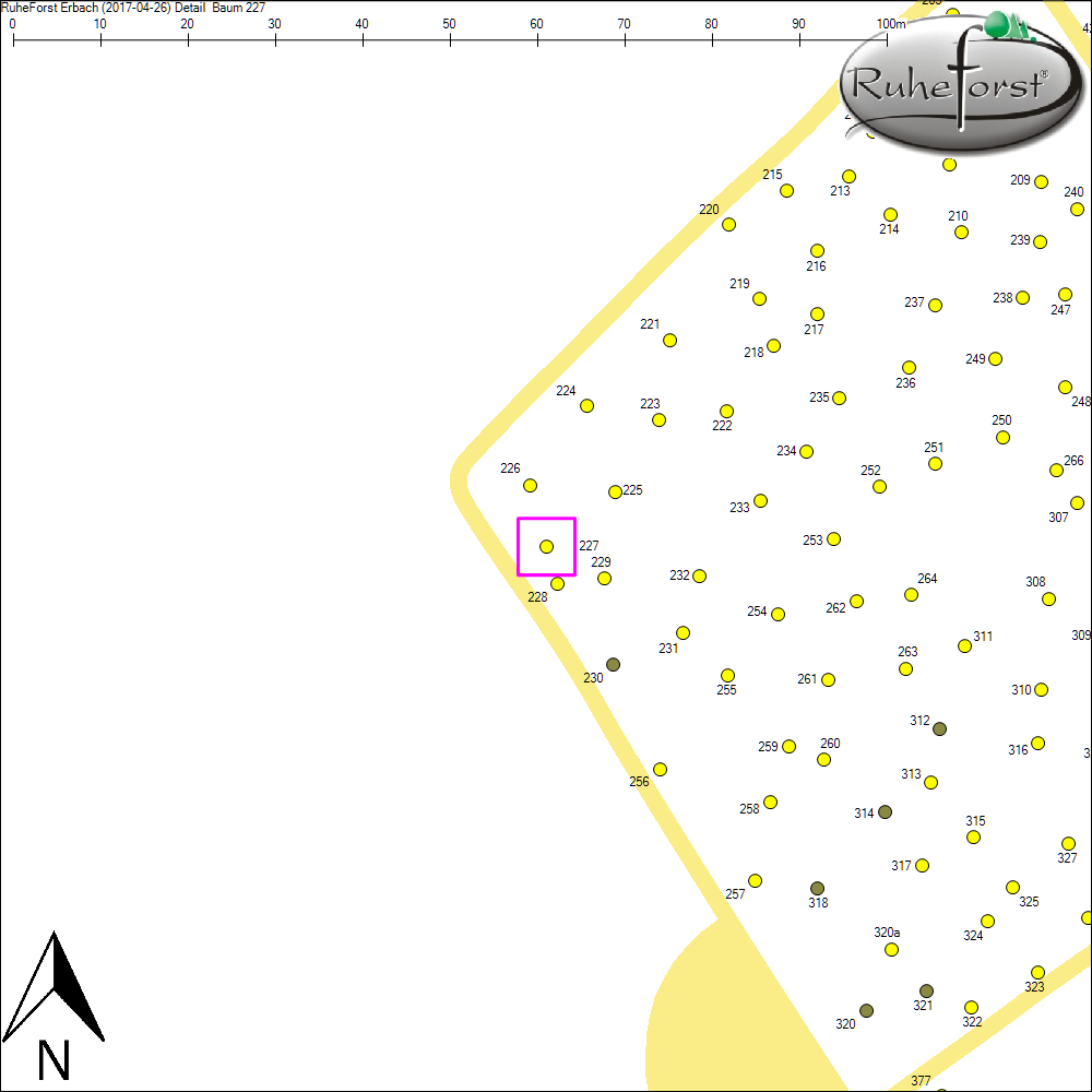 Detailkarte zu Baum 227