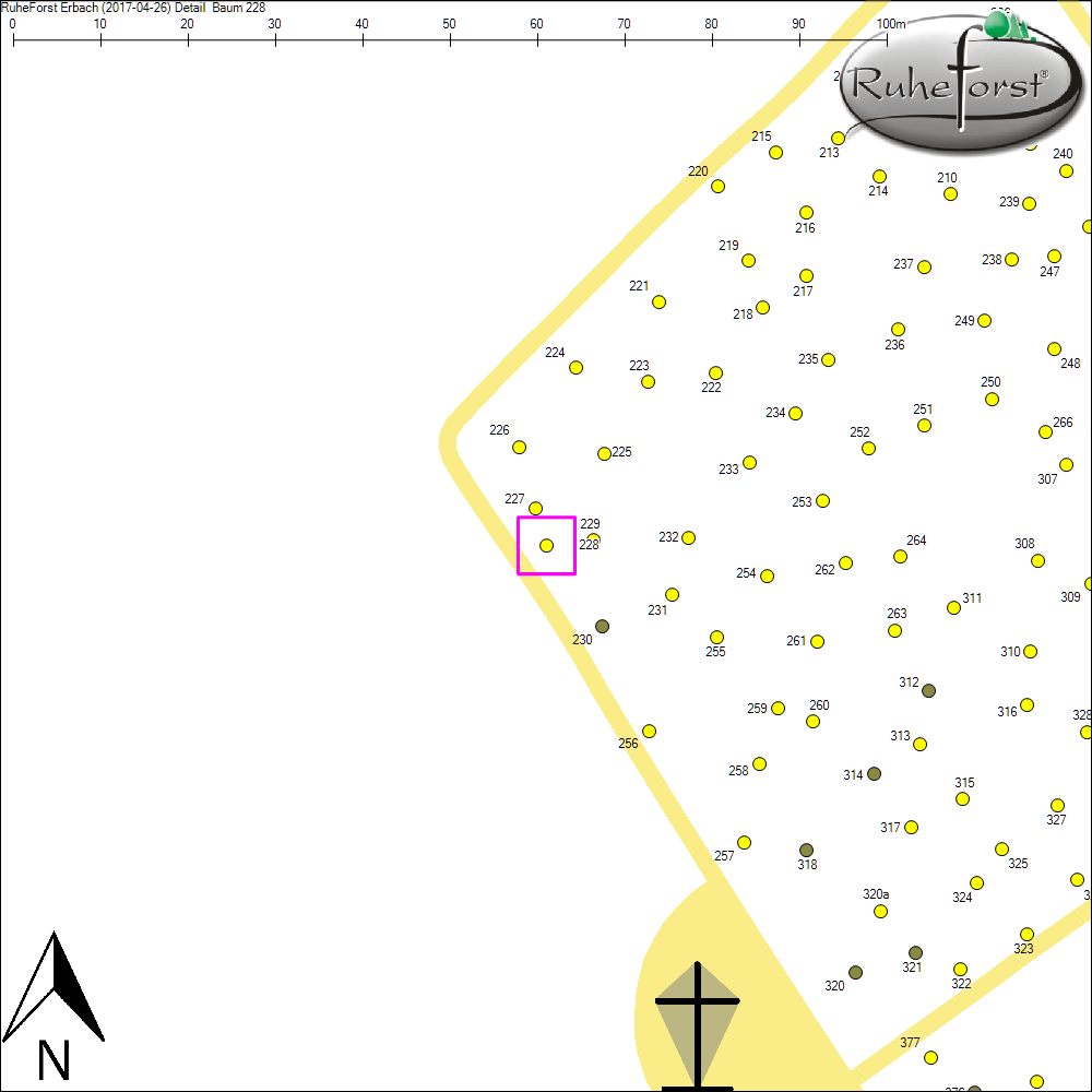 Detailkarte zu Baum 228