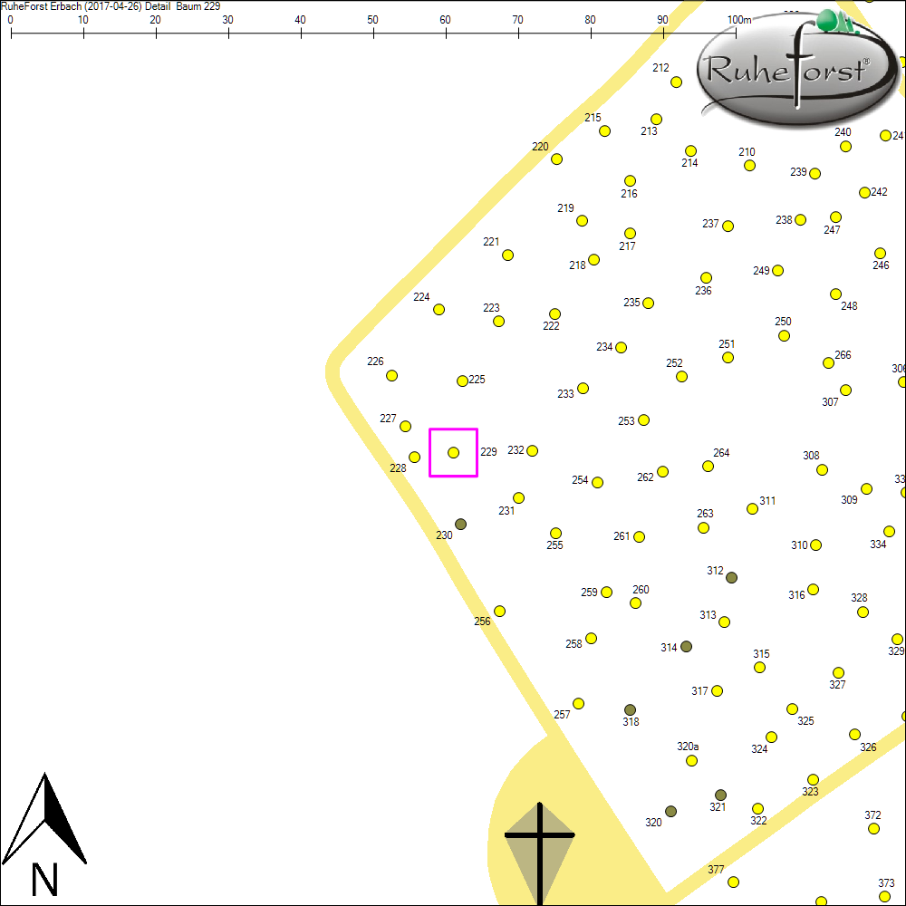 Detailkarte zu Baum 229