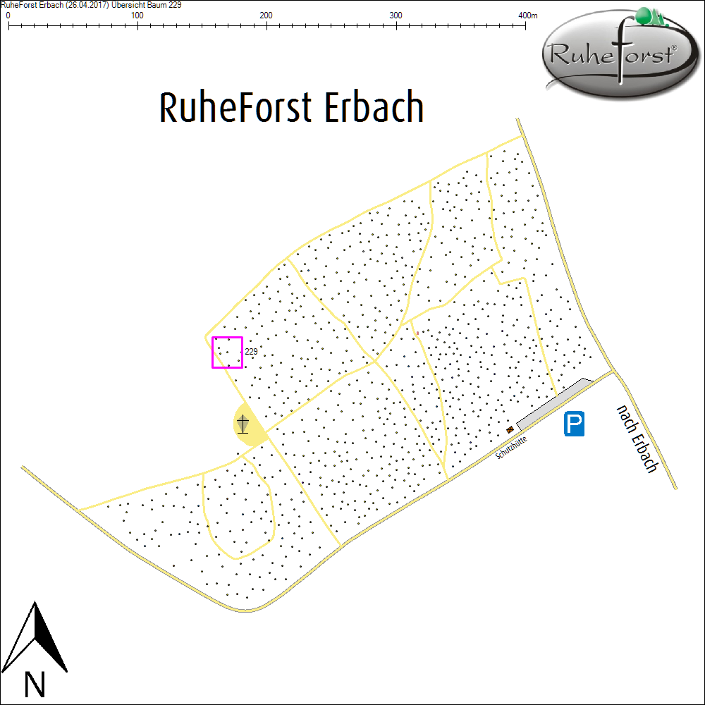 &Uuml;bersichtskarte zu Baum 229