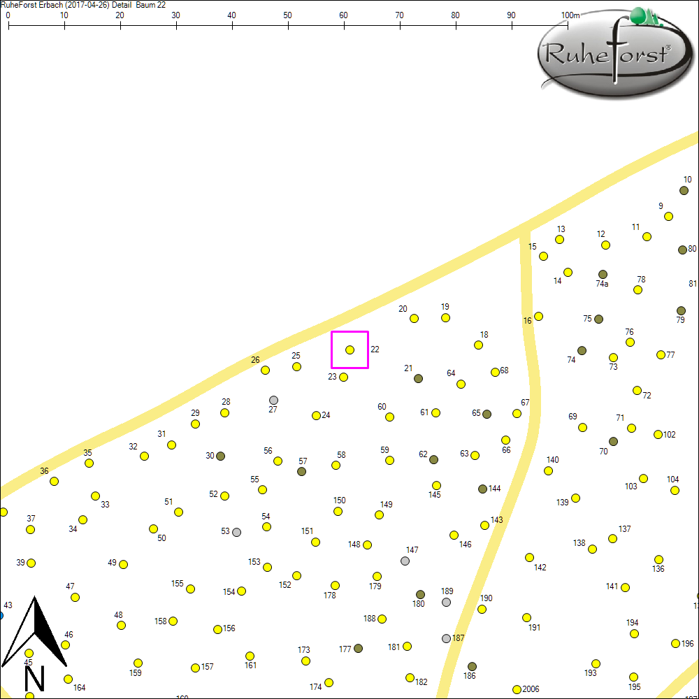 Detailkarte zu Baum 22