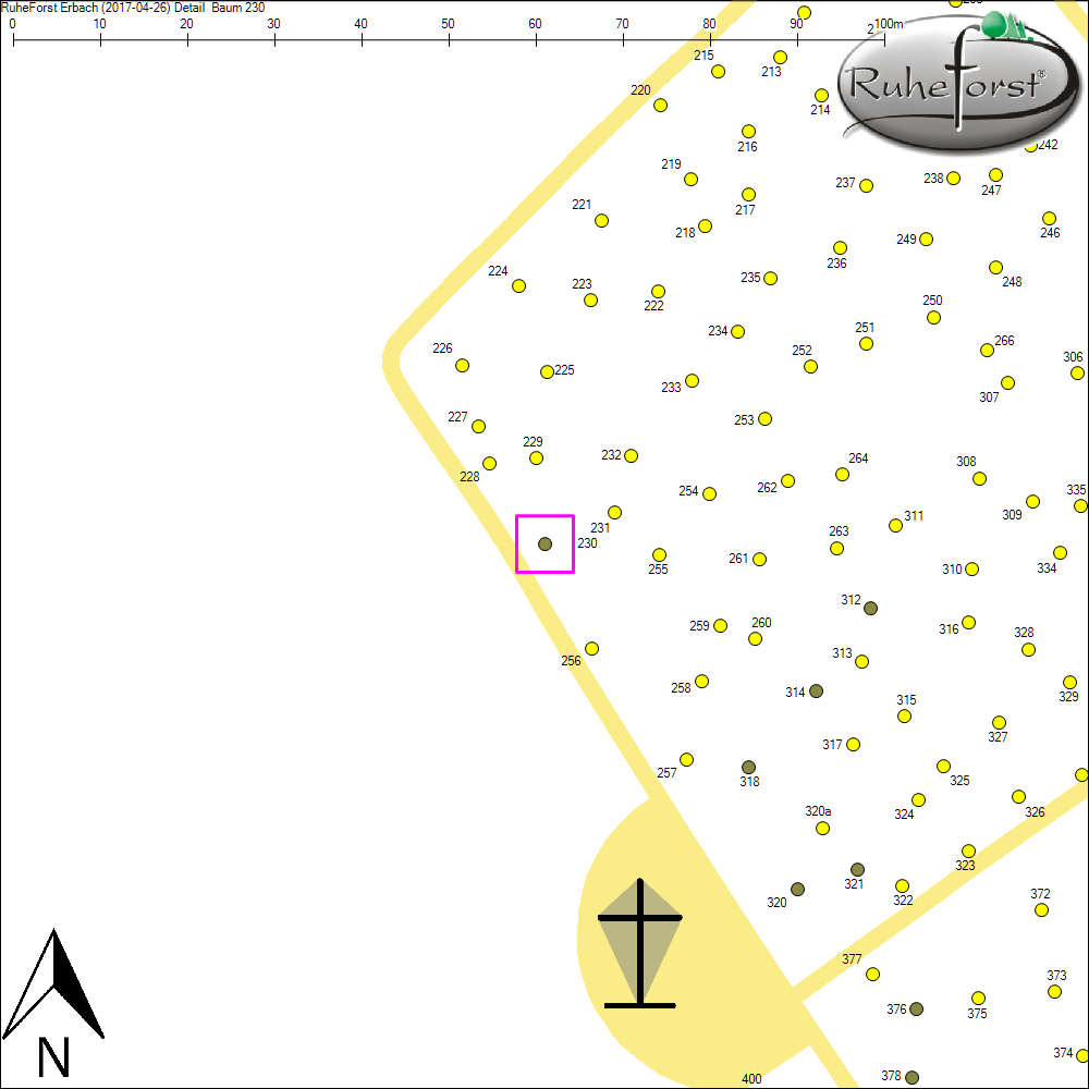 Detailkarte zu Baum 230