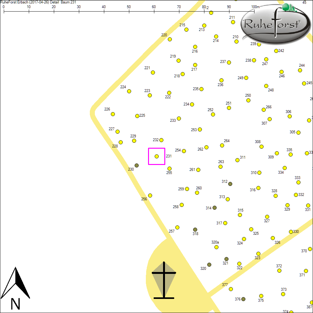 Detailkarte zu Baum 231