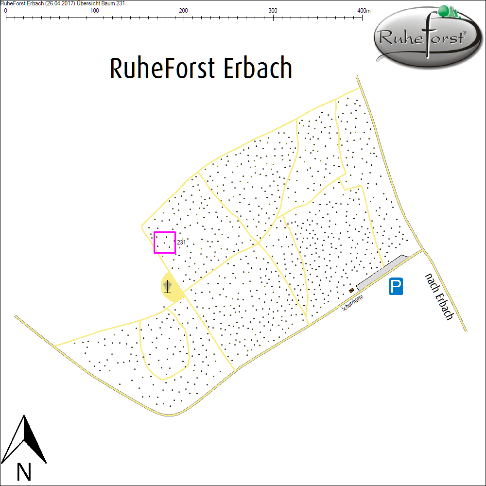 &Uuml;bersichtskarte zu Baum 231